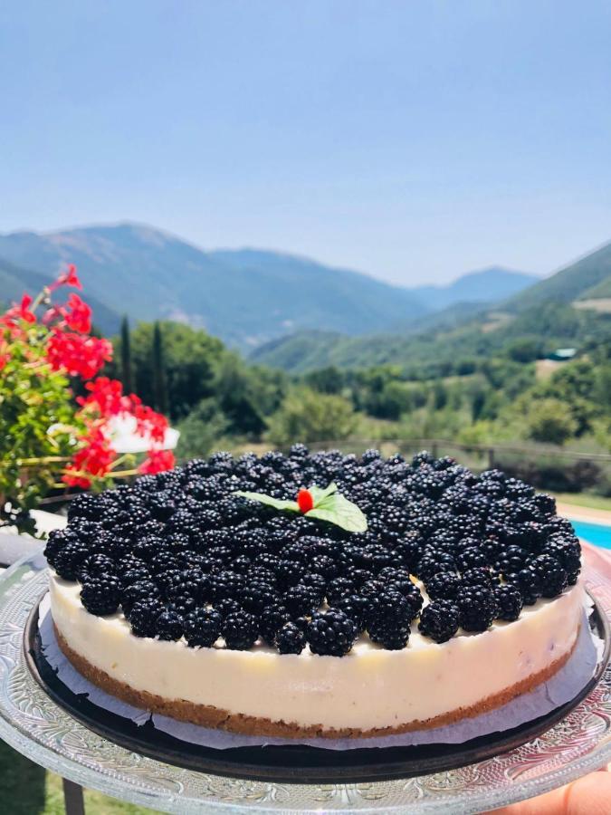 Agriturismo Roccagelli Vallo di Nera Экстерьер фото