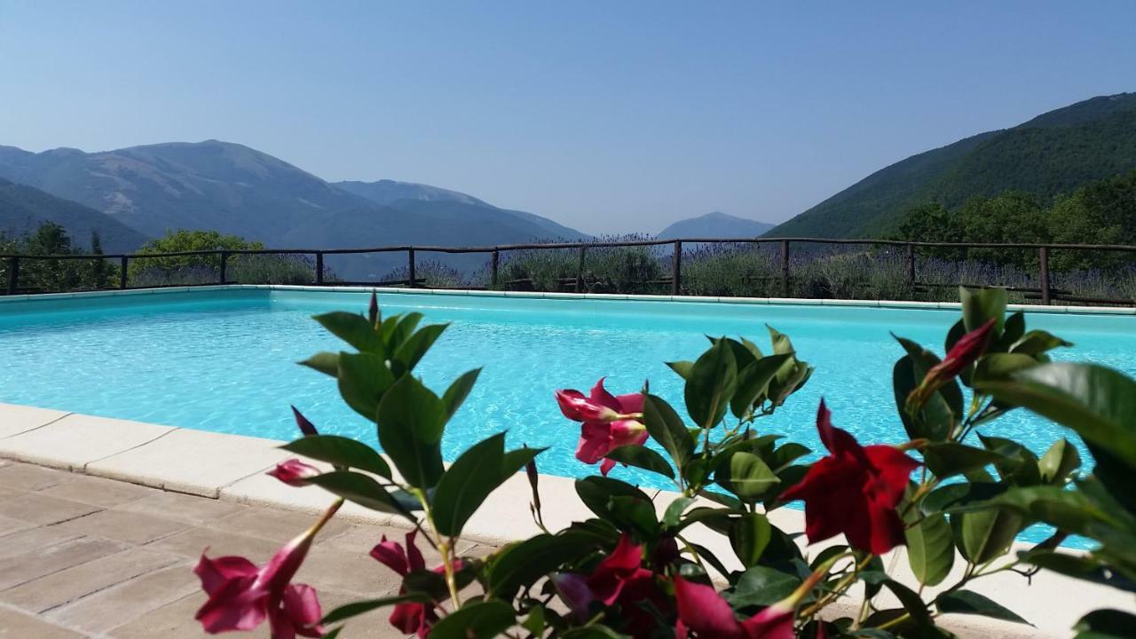 Agriturismo Roccagelli Vallo di Nera Экстерьер фото