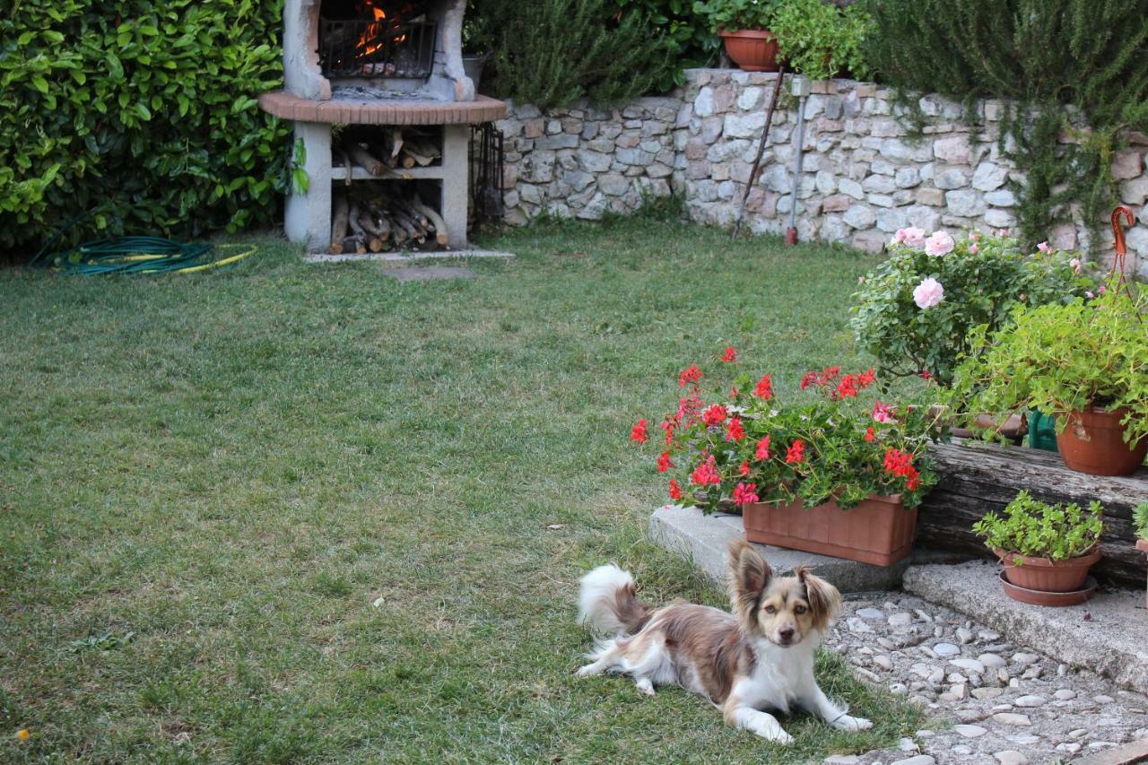 Agriturismo Roccagelli Vallo di Nera Экстерьер фото