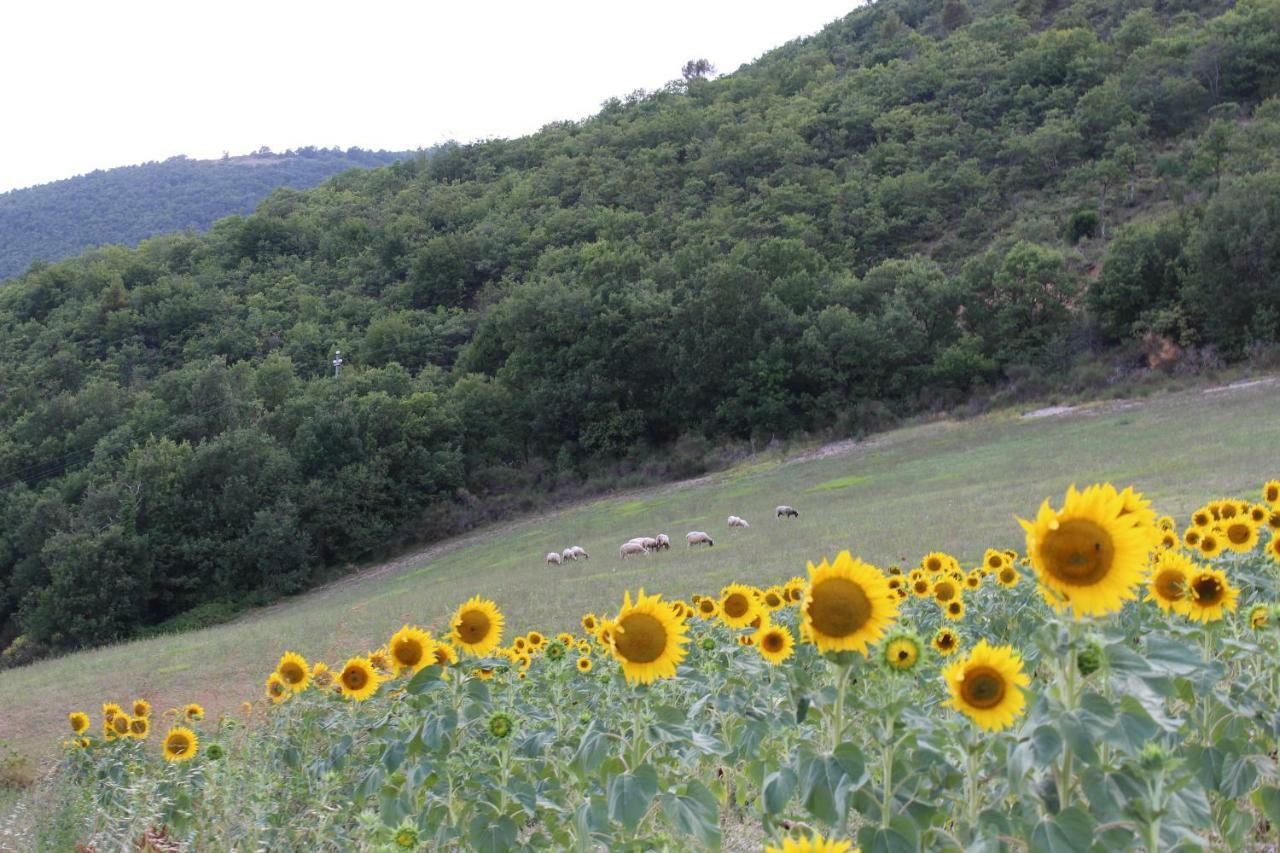 Agriturismo Roccagelli Vallo di Nera Экстерьер фото