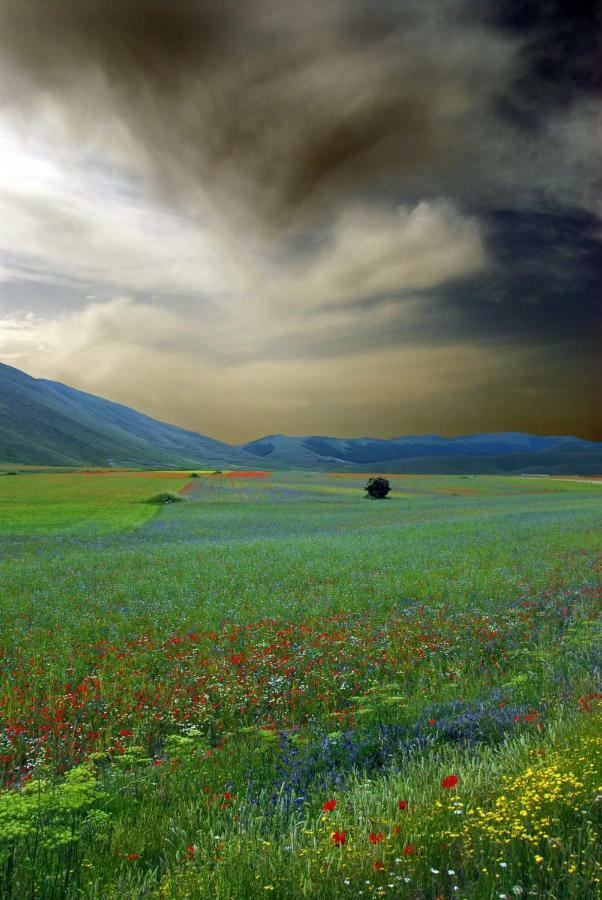 Agriturismo Roccagelli Vallo di Nera Экстерьер фото